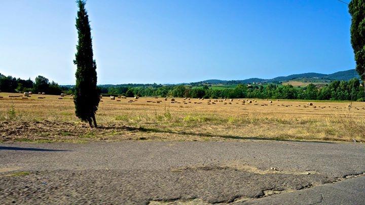 Appartamento Old England In Chianti Montespertoli Ngoại thất bức ảnh