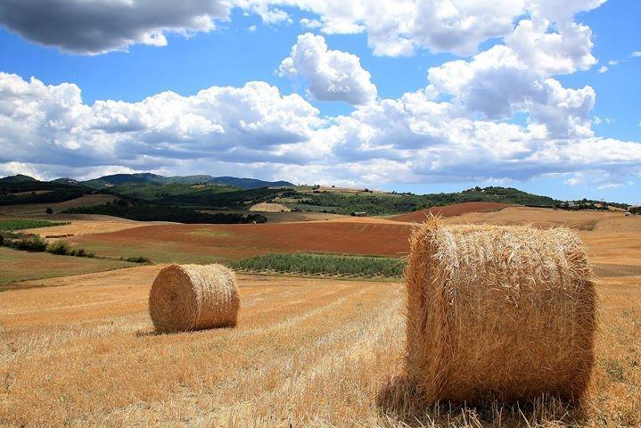 Appartamento Old England In Chianti Montespertoli Ngoại thất bức ảnh
